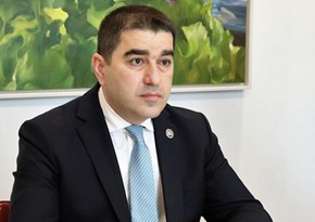 Папуашвили: Беларусь вплотную подошла к красной черте отношений с Грузией