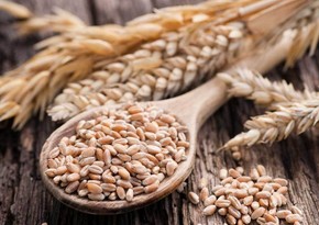 Azerbaijan third among countries importing third kind of wheat from Russia