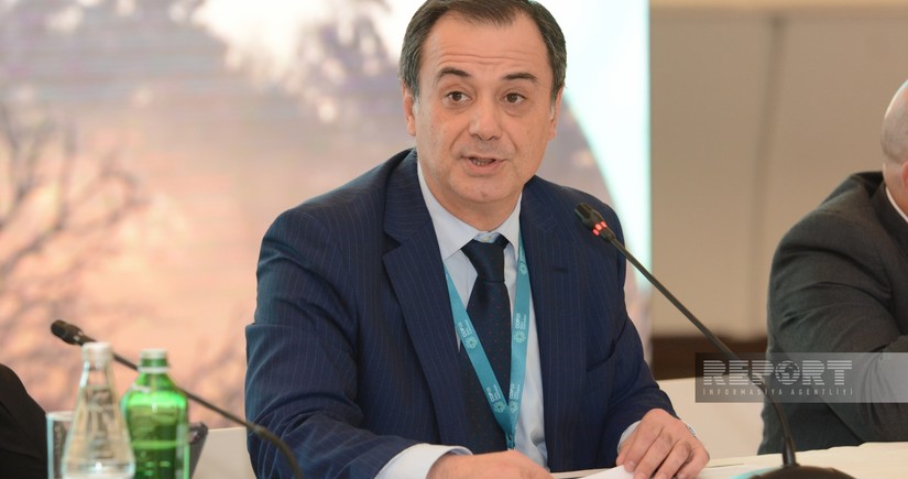 Azerbaijan among top nations leading COP29 Peace and Climate Initiative