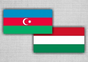 Посольство Венгрии выразило соболезнования в связи с крушением вертолета