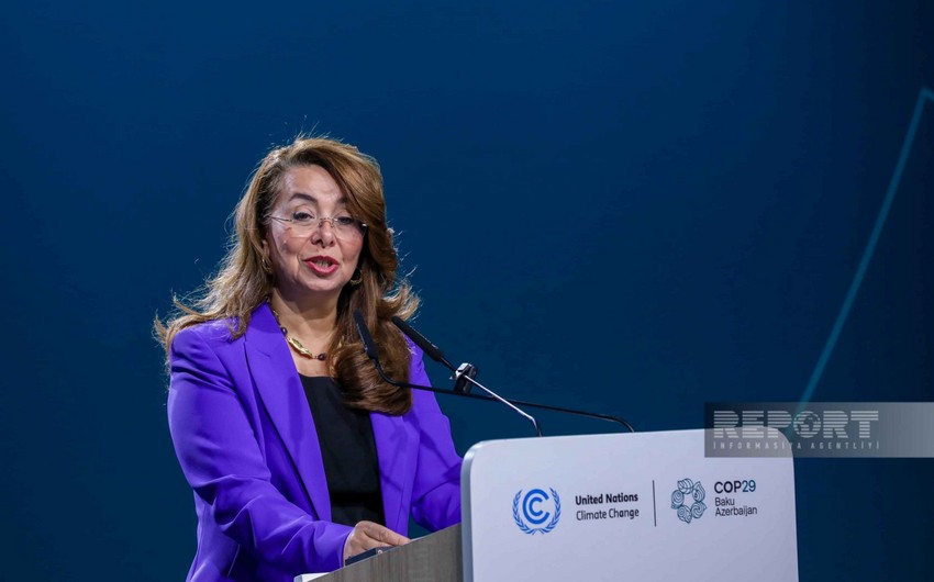 UNODC chief calls for using all available tools in fighting environmental crimes