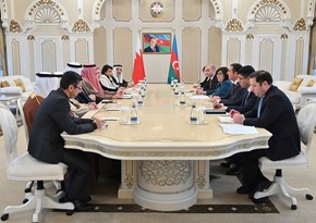 Azerbaijan's Parliament Speaker meets with Speaker of Council of Representatives of Bahrain