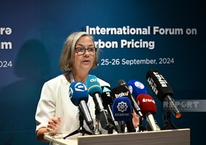 IOTA executive secretary: Carbon pricing will be in spotlight at COP29