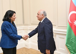 Azerbaijani PM meets with President of Georgia in Tbilisi