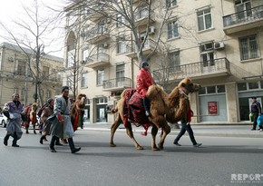 В этом году в Баку не будет организован караван по случаю Новруз байрамы