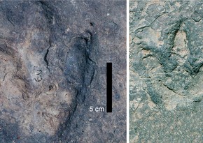 Matching dinosaur footprints found on opposite sides of Atlantic Ocean