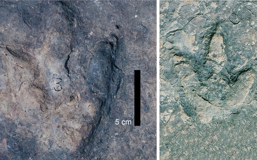 Matching dinosaur footprints found on opposite sides of Atlantic Ocean