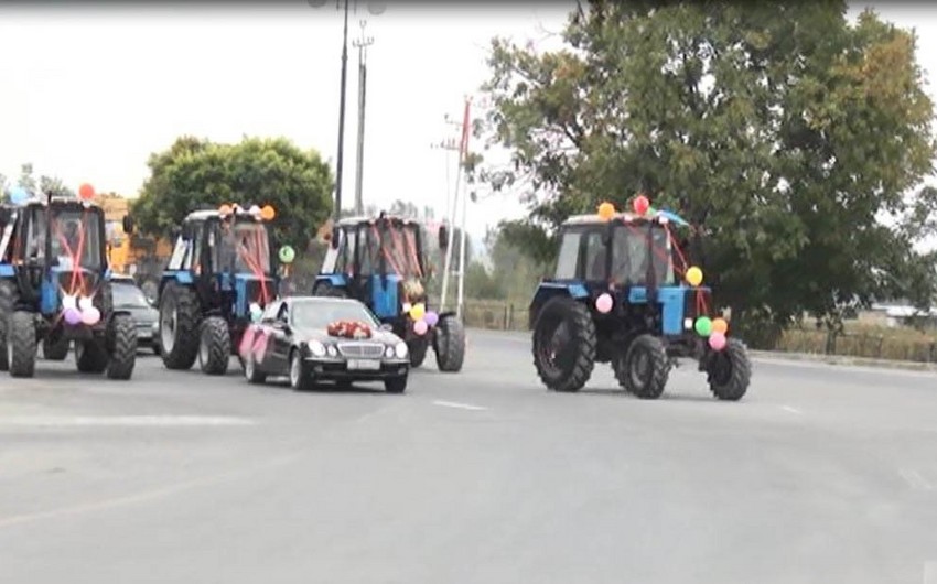 Şəkidə gəlin maşını şadlıq sarayına traktorların müşayiəti ilə gətirilib - FOTO