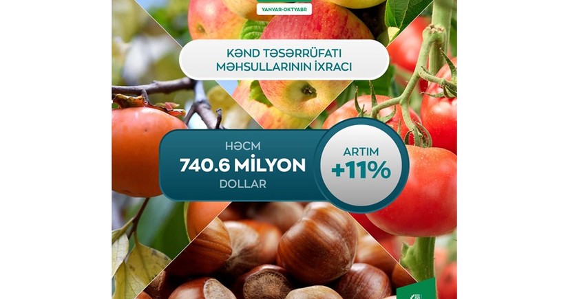 Azərbaycan kənd təsərrüfatı məhsullarının ixracından gəlirini 11 % artırıb 