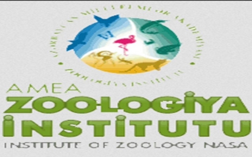 Zoologiya İnstitutu ilə Tümen Dövlət Universiteti arasında Elmi-Tədqiqat Mərkəzi yaradılacaq