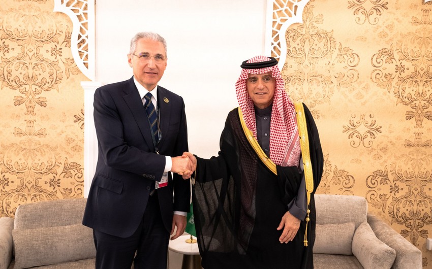 Mukhtar Babayev mulls climate finance with Saudi Arabia's envoy