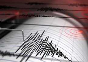 В Турции произошло землетрясение магнитудой 4,8
