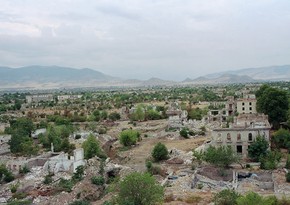 Обсуждается вопрос восстановления исторических произведений и памятников в Карабахе