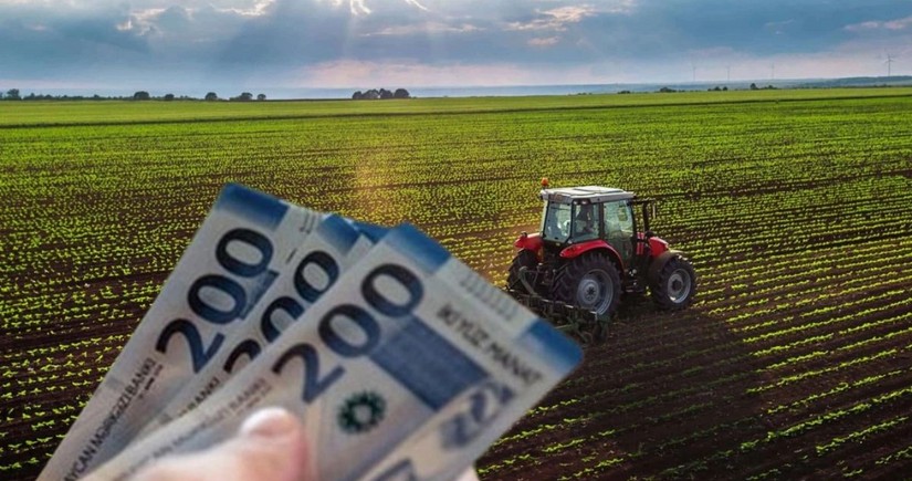 Azərbaycanda kənd təsərrüfatı subsidiyalarına nəzarət mexanizmi gücləndirilir