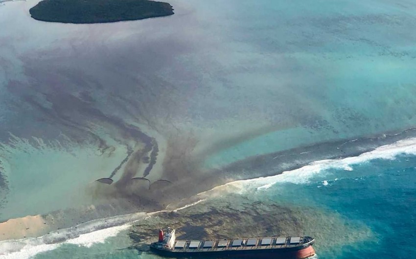 Oil spill in Mauritius kills rare animals