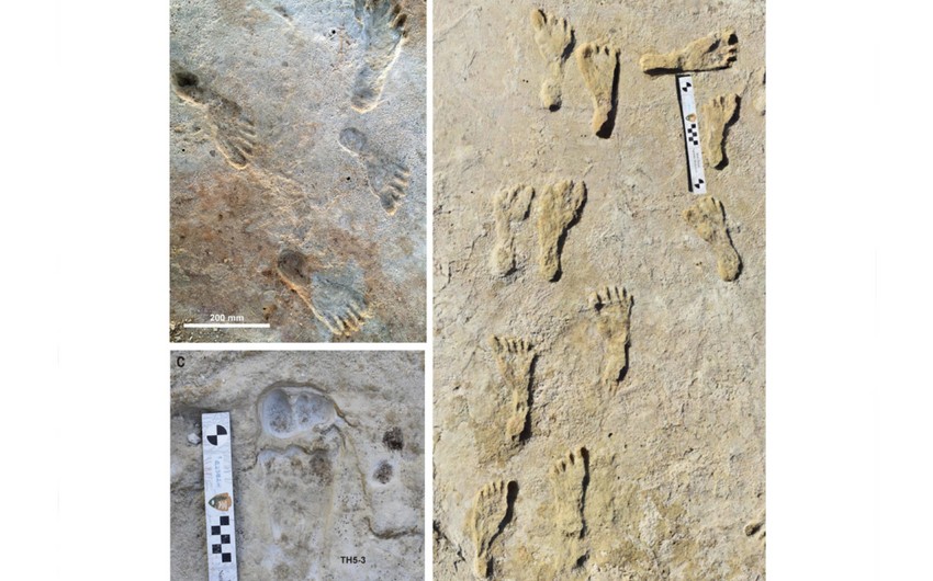 Археологи: Самый древнейший человек жил на юге Северной Америки