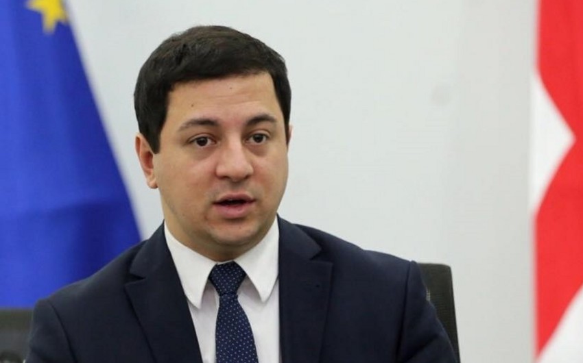 Замглавы МВД Грузии ушел в отставку