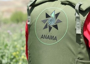 Вугар Сулейманов: Число сотрудников ANAMA сегодня достигает 1400 человек