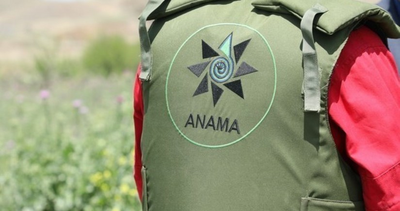 Вугар Сулейманов: Число сотрудников ANAMA сегодня достигает 1400 человек