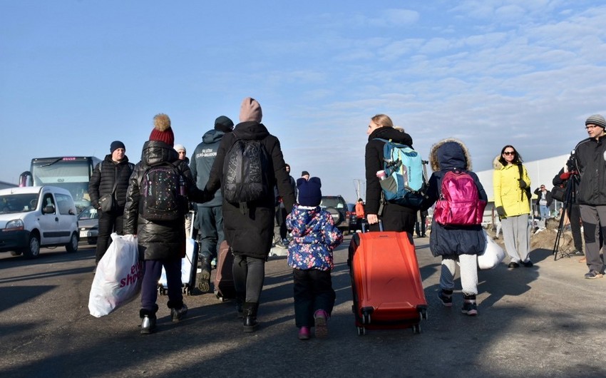 В Германии число заявок от беженцев за год выросло на 50%