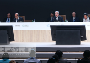 COP29 president says draft decisions and conclusions to be adopted at plenary sessions