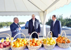 President Ilham Aliyev on visit to Lankaran