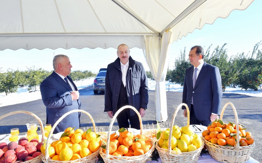 President Ilham Aliyev on visit to Lankaran