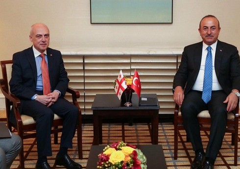 Грузия высоко оценила посреднические усилия Турции в Украине