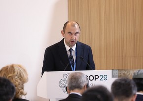 Deputy Minister: Azerbaijan takes practical steps towards solving global environmental issues