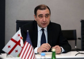 Еще один министр в Грузии самоизолировался
