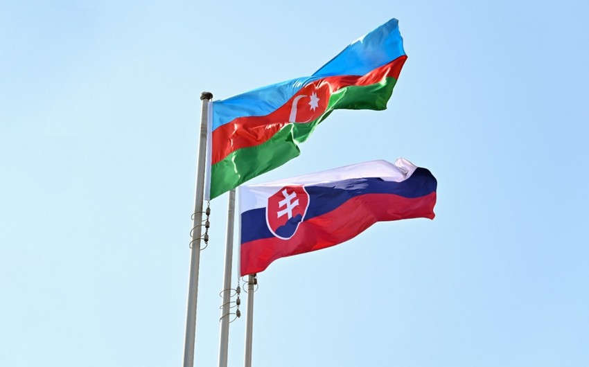 Robert Simoncic: Azerbaijan, Slovakia to continue increasing mutual trade 