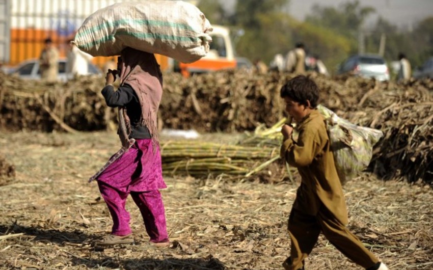 ​Ethiopia struggles to help its 5.5mn child laborers