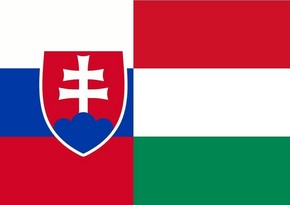 Венгрия и Словакия заблокировали ответ ЕС на принятие Грузией закона об иноагентах 