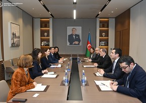 Ceyhun Bayramov UNICEF-in regional direktorunu COP29-a hazırlıq barədə məlumatlandırıb