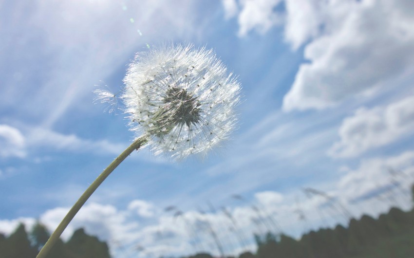 Azerbaijan weather forecast for July 4