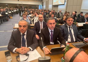 Azerbaijani delegation responds to biased speech of British MP in OSCE PA 