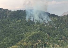 В Агсу потушен пожар в горной местности
