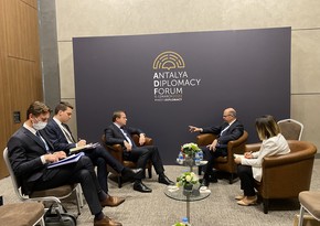 Министр энергетики Азербайджана обсудил с Оливером Вархели энергетическое сотрудничество