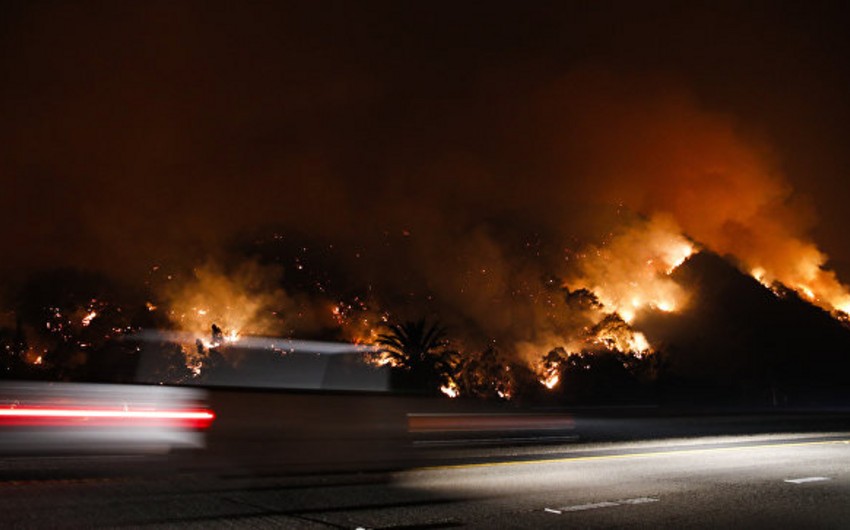 Трамп объявил режим ЧС в Калифорнии из-за пожаров