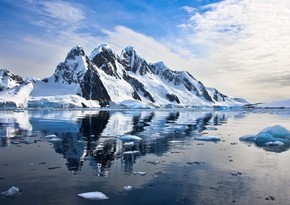 Во льдах Антарктиды нашли неизвестных животных