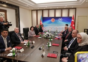 В Стамбуле состоялась встреча председателей парламентов Азербайджана и Турции