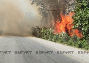 Wildfire causes power outage in Azerbaijan's Khachmaz 