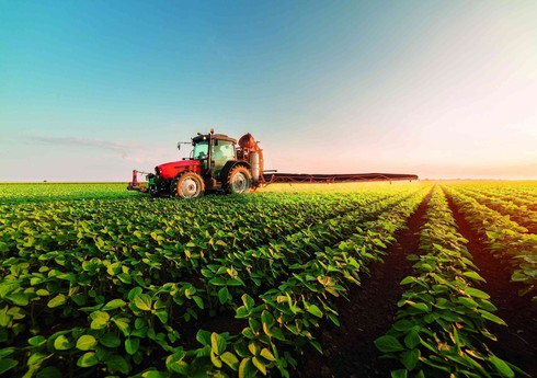 Фабио Риччи: Италия стала важным поставщиком сельскохозяйственной техники в Азербайджан