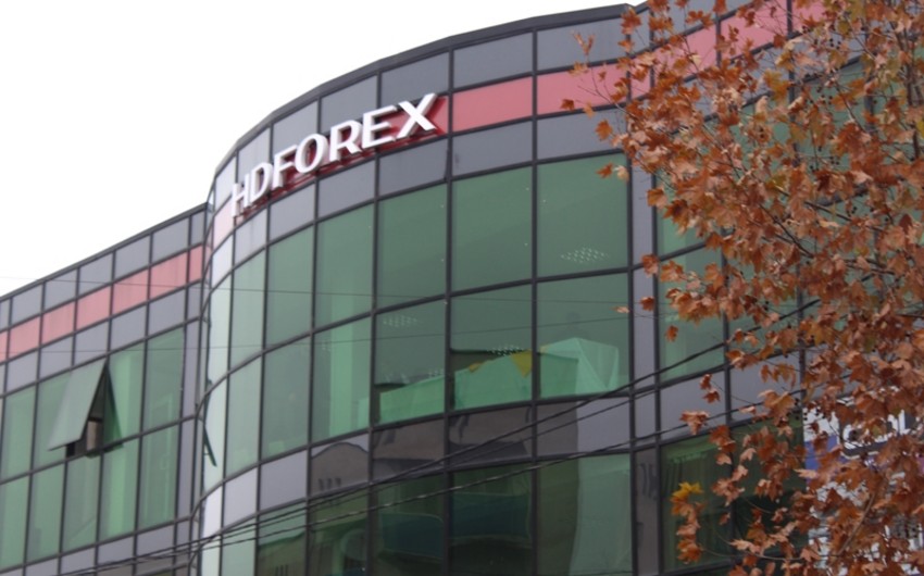 forex representative offices