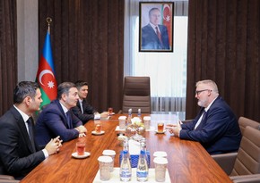 Azerbaijan, Romania discuss countering deepfakes