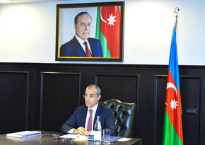 Азербайджан пригласил страны-члены ОЭС принять участие в проектах в Карабахе