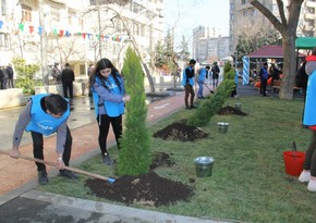 “Bizim həyət” layihəsi çərçivəsində daha bir həyət abadlaşdırılıb