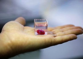 Scientists grow first functioning mini human heart