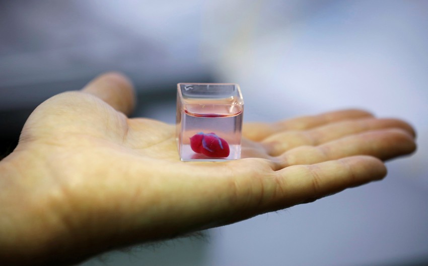 Scientists grow first functioning mini human heart