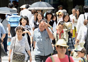 В Токио рекордное количество людей попадают в больницу из-за аномальной жары
